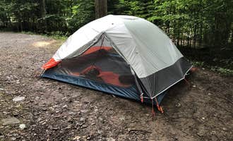 Camping near Canned Ham Camp: Sinnemahoning State Park Campground, Driftwood, Pennsylvania
