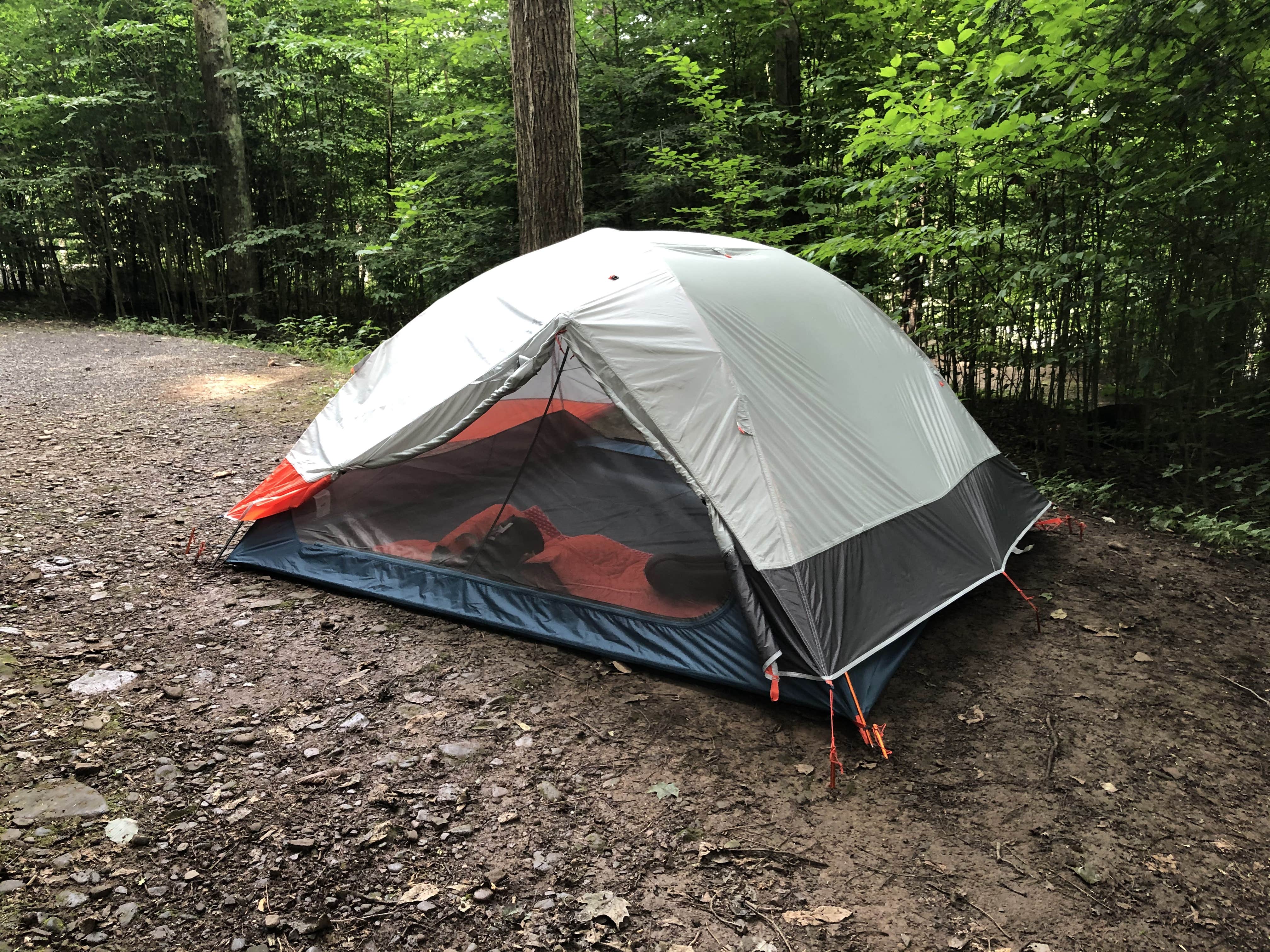 Camper submitted image from Sinnemahoning State Park Campground - 1