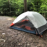 Review photo of Sinnemahoning State Park Campground by John V., August 1, 2020