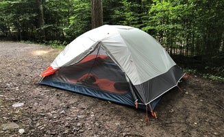Camper-submitted photo from Sinnemahoning State Park