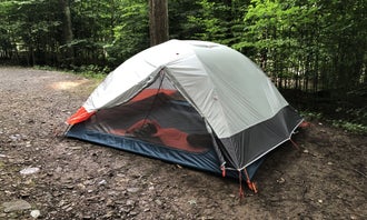 Camping near Austin Park Dam: Sinnemahoning State Park Campground, Driftwood, Pennsylvania