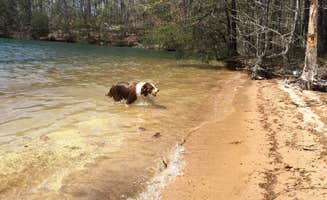 Candis C.'s photo of camping with pets at Mile Creek County Park near Sunset, SC