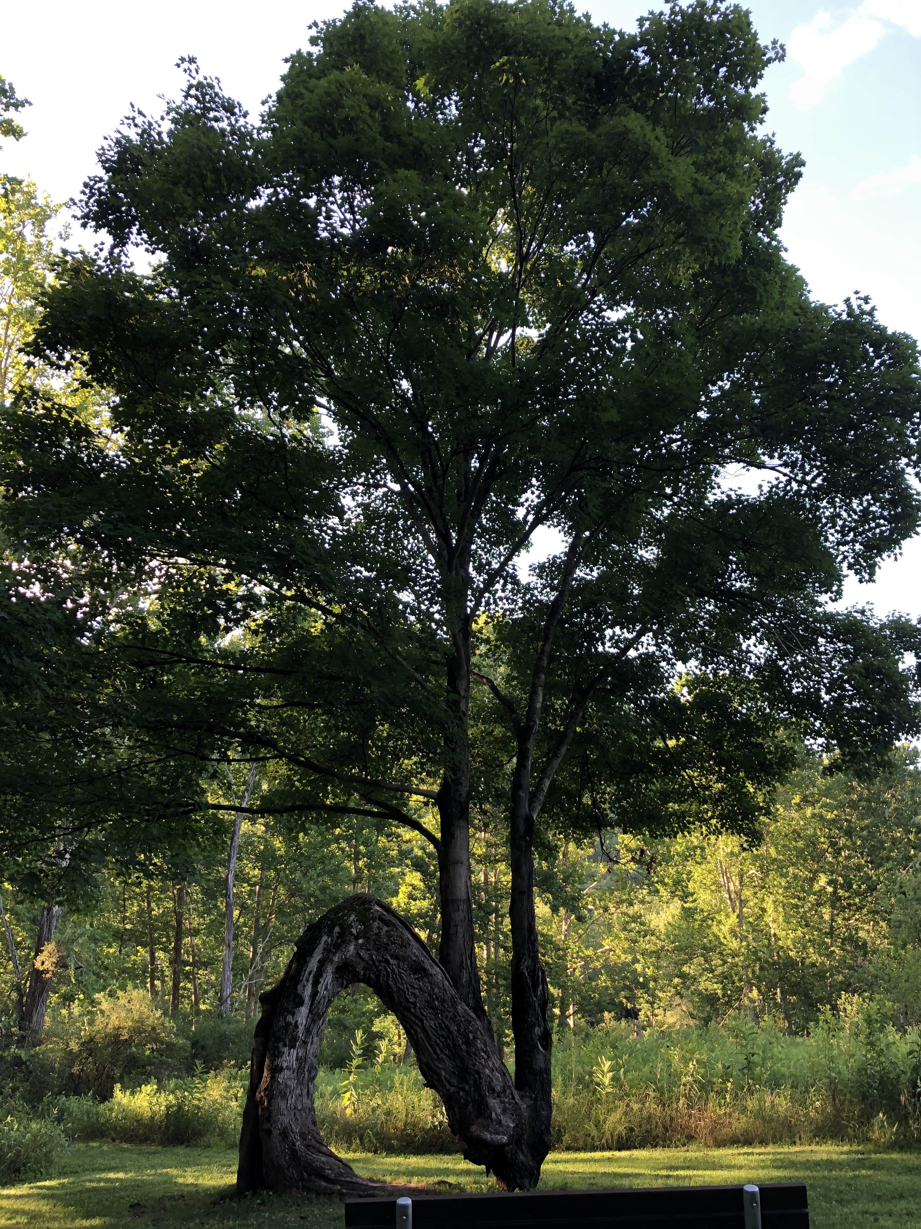 Camper-submitted photo at Sinnemahoning State Park Campground near Emporium, PA
