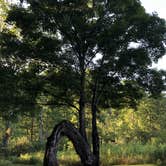 Review photo of Sinnemahoning State Park Campground by John V., August 1, 2020