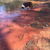 Review photo of Hawe Creek - J Strom Thurmond Lake by Candis C., April 10, 2018