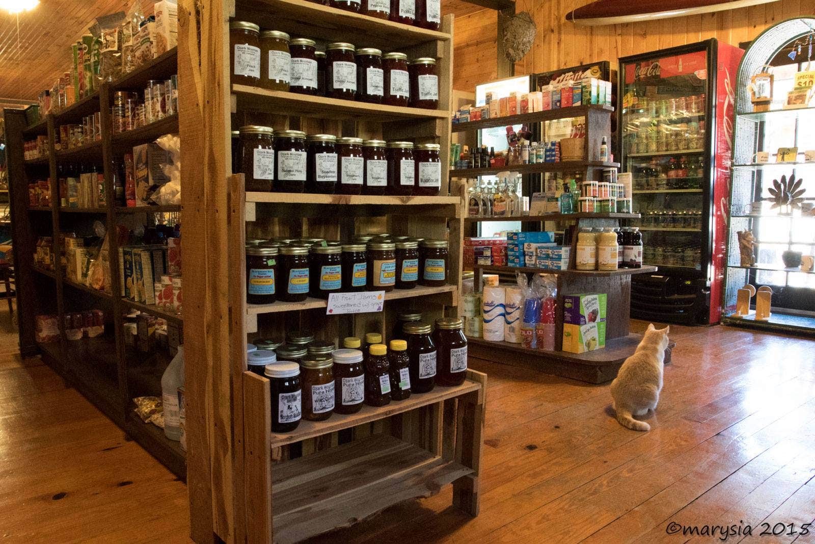 Lost Valley Canoe & Lodging O.'s photo of camping with pets at Lost Valley Canoe & Lodging near Harrison, AR