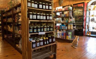 Lost Valley Canoe & Lodging O.'s photo of camping with pets at Lost Valley Canoe & Lodging near Harrison, AR