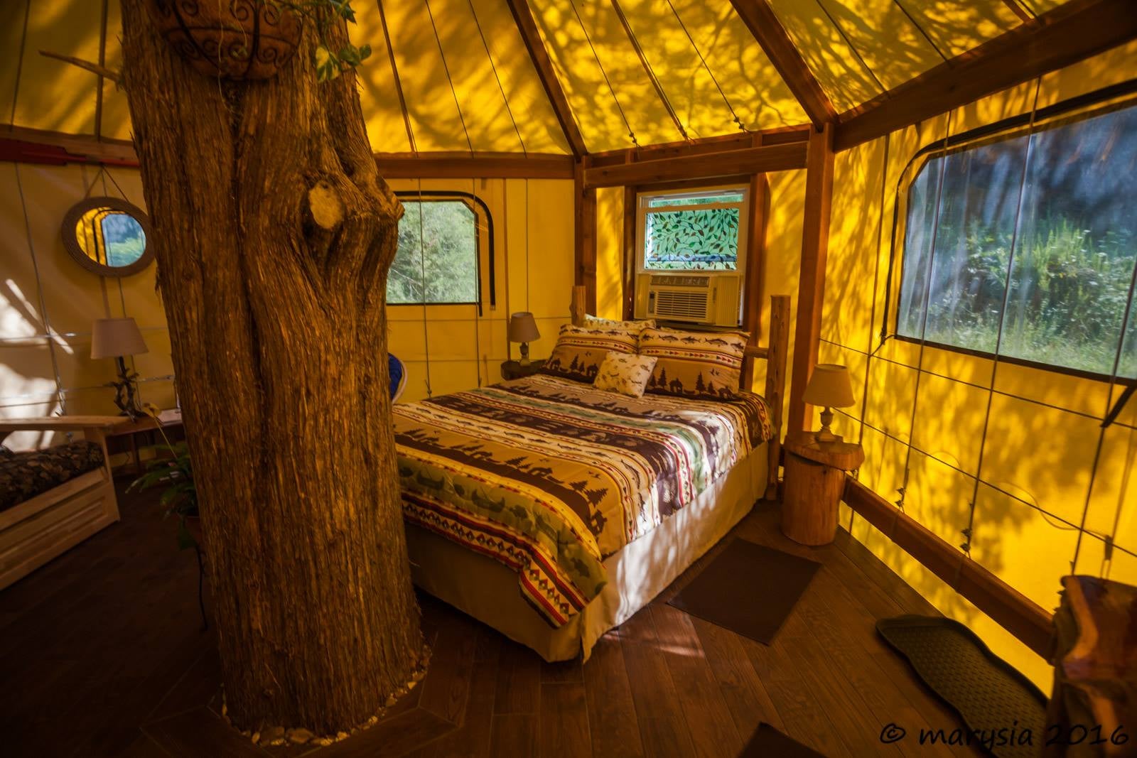 Glamp in the Treehouse yurt with fire ring, grill, deck and AC,