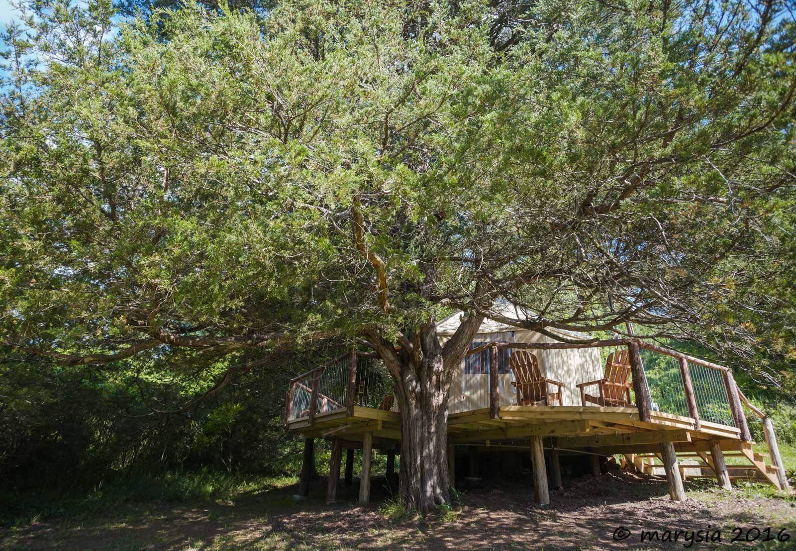 Lost Valley Canoe & Lodging O.'s photo of a cabin at Lost Valley Canoe & Lodging near Harrison, AR