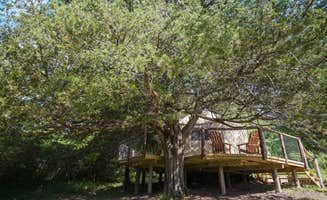 Lost Valley Canoe & Lodging O.'s photo of a cabin at Lost Valley Canoe & Lodging near Vendor, AR