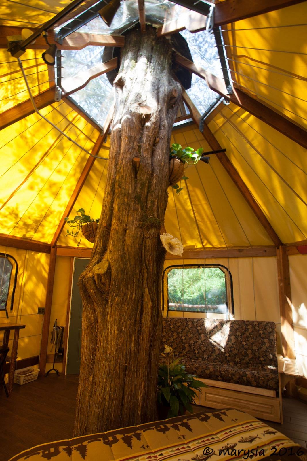 Glamping in the treehouse yurt