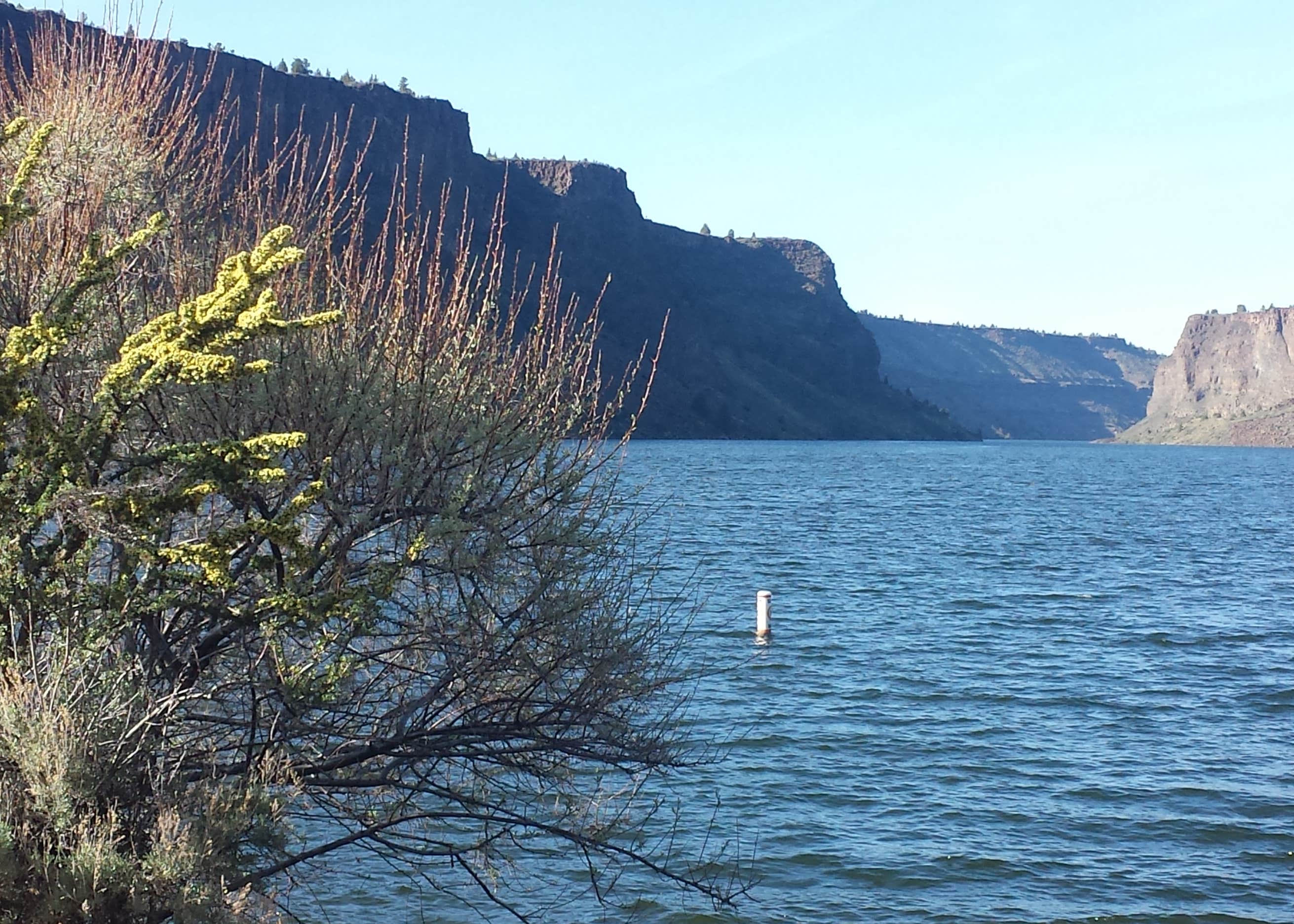 Cove Palisades State Park Camping The Dyrt