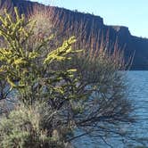 Review photo of Crooked River Campground — The Cove Palisades State Park by Raphaela H., July 4, 2016