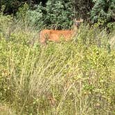 Review photo of Jackson Lake State Park — Jackson Lake by Lori E., August 1, 2020