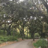 Review photo of Cerro Alto Campground by Anthony O., August 1, 2020