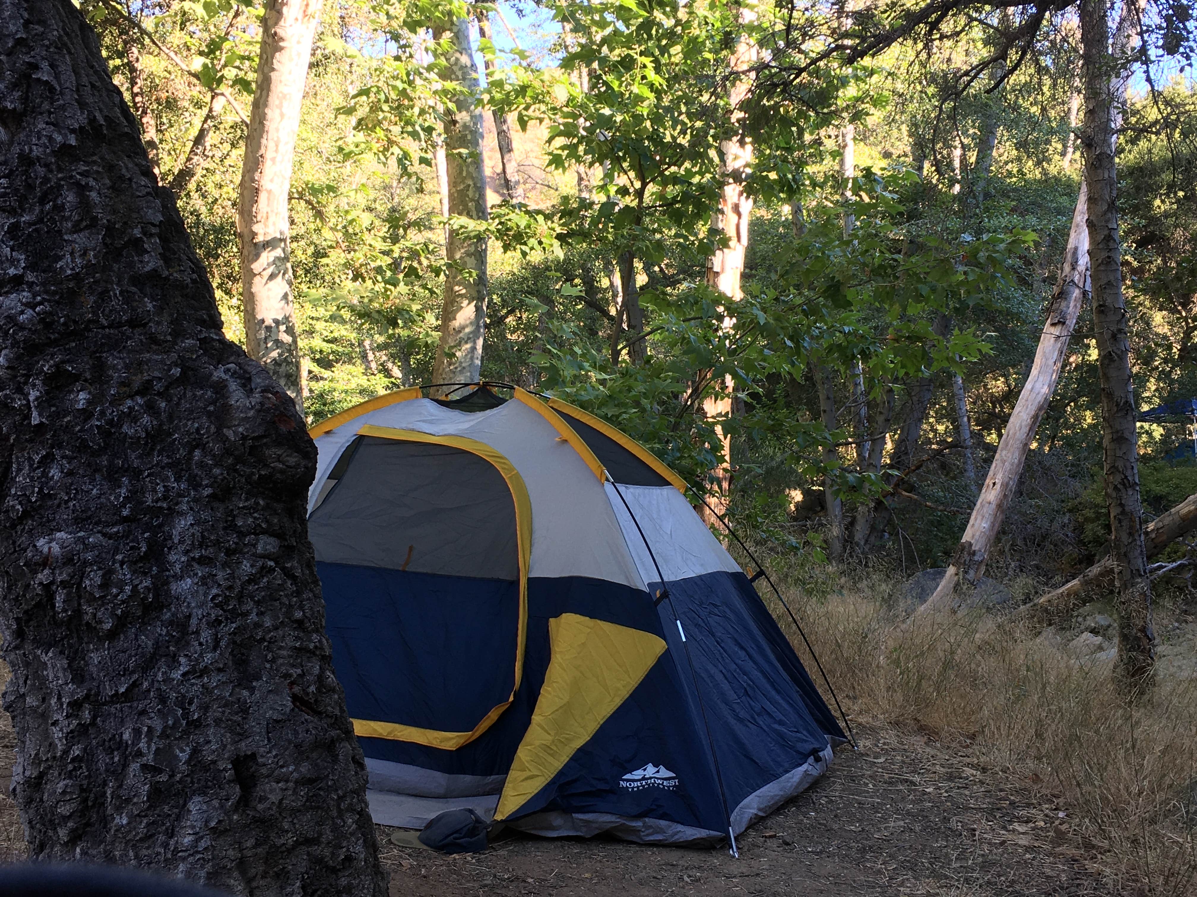 Anthony O.'s photo at Wheeler Gorge Campground near Oak View, CA