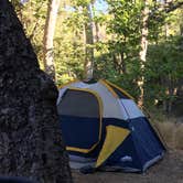 Review photo of Wheeler Gorge Campground by Anthony O., August 1, 2020