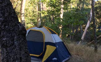 Anthony O.'s photo at Wheeler Gorge Campground near Oak View, CA