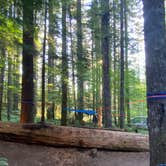 Review photo of Lower Falls Campground by Blaine B., August 1, 2020