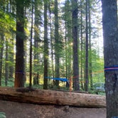 Review photo of Lower Falls Campground by Blaine B., August 1, 2020