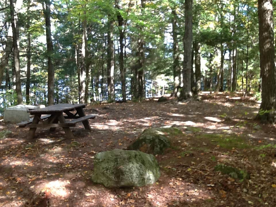 Adirondack/Paradox Lake The Dyrt