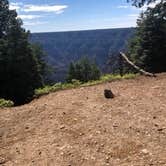 Review photo of DeMotte National Forest Campground by Todd S., August 1, 2020