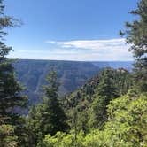 Review photo of DeMotte National Forest Campground by Todd S., August 1, 2020