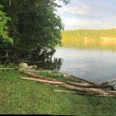 Review photo of Lake of the Ozarks State Park Campground by Todd S., August 1, 2020