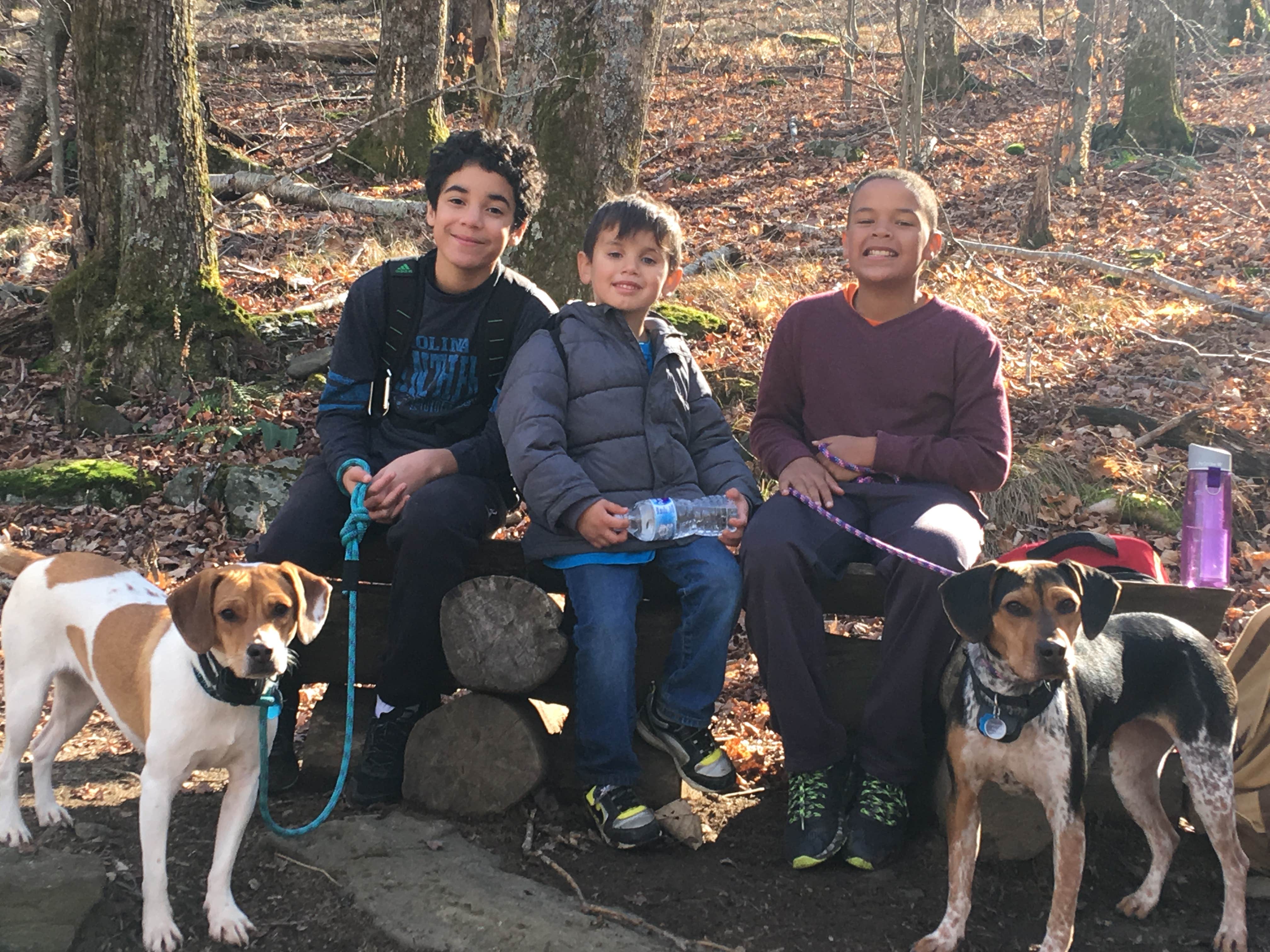 Ashton W.'s photo of camping with pets at Blue Bear Mountain Camp near West Jefferson, NC