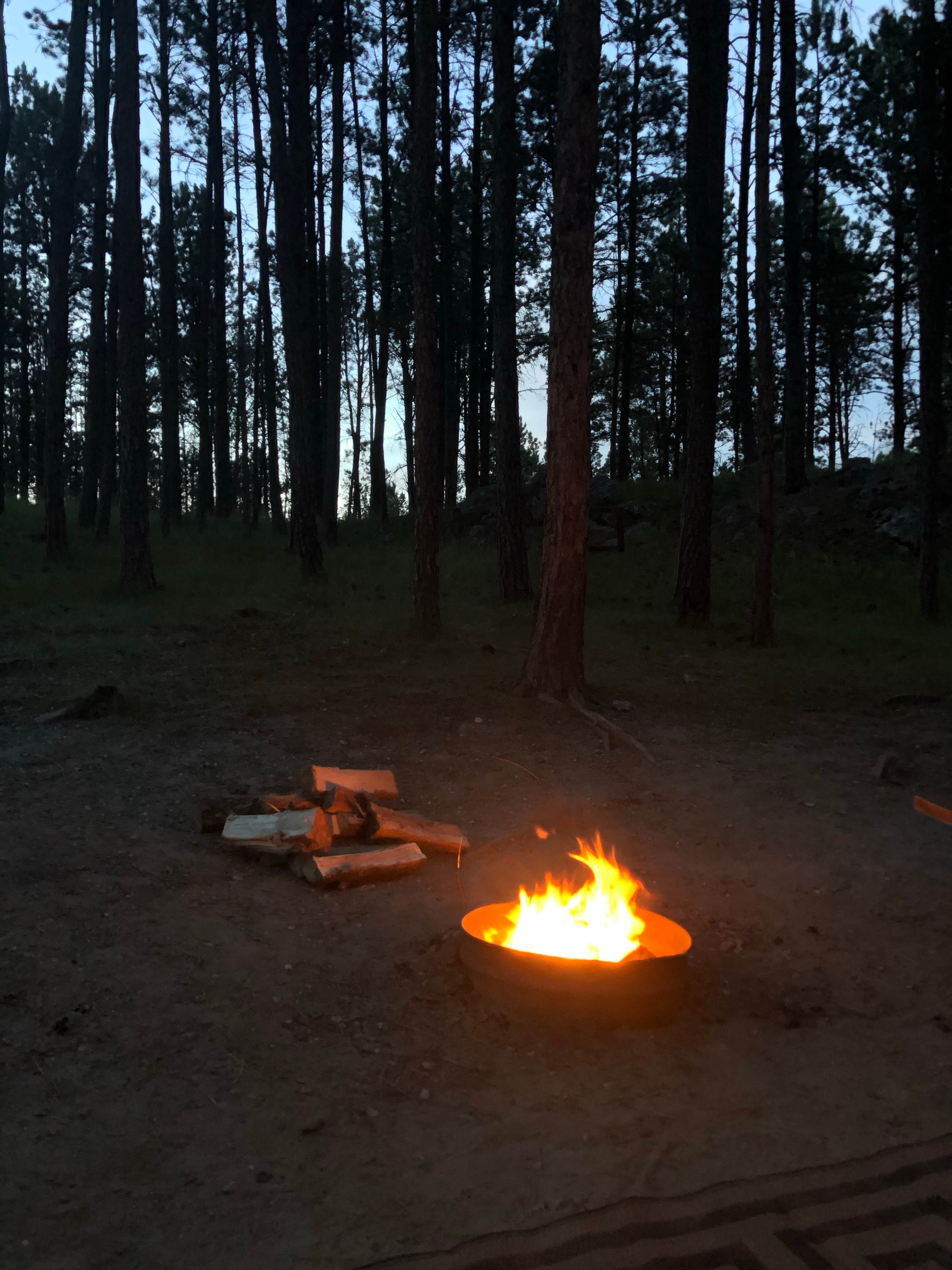 Camper-submitted photo at Big Pines near Selby, SD