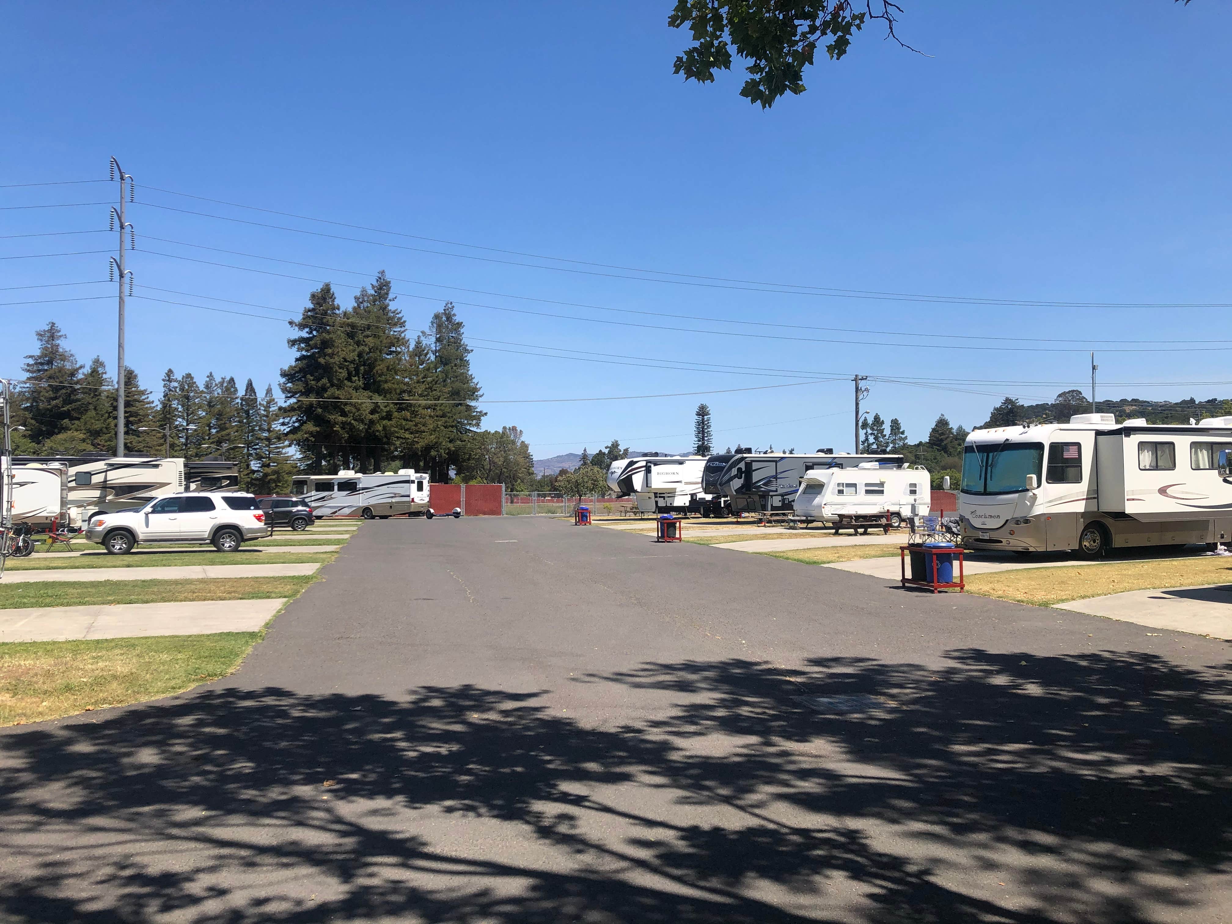 Camper submitted image from Napa Valley Expo RV Park - 2