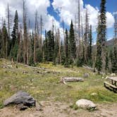 Review photo of Trujillo Meadows by Britt S., August 1, 2020