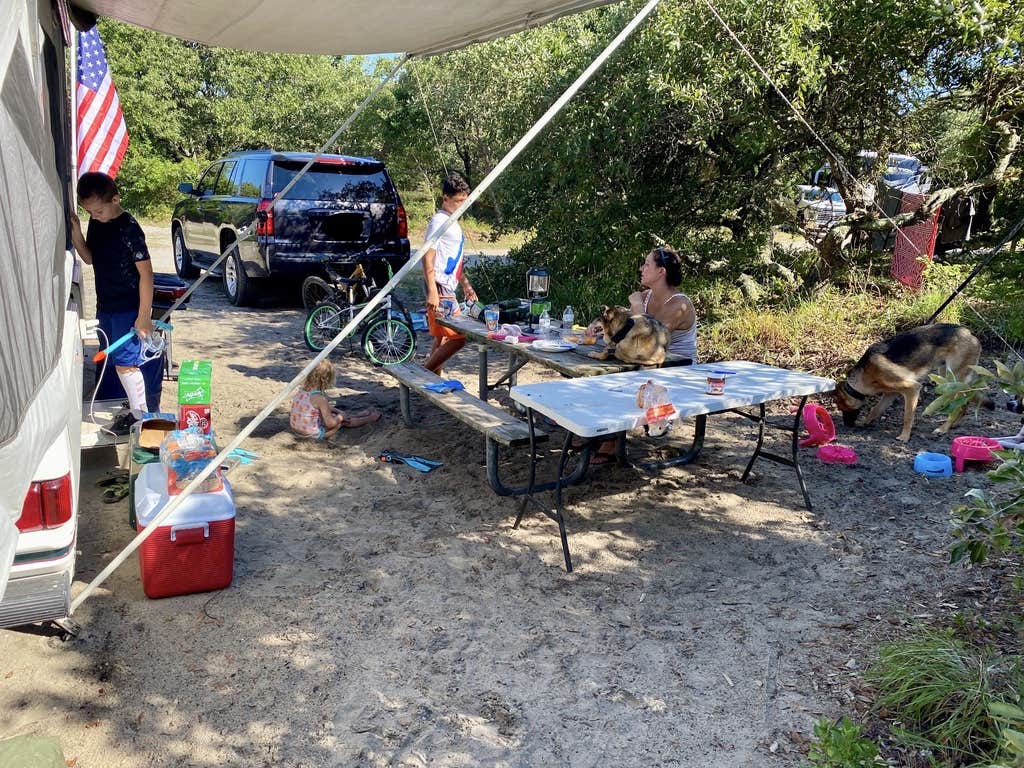 Corey B.'s photo of camping with pets at First Landing State Park Campground near New Point, VA
