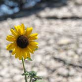 Review photo of Arkansas Point Campground — Lake Pueblo State Park by Kristin  K., August 1, 2020