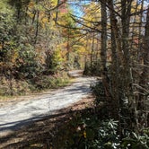 Review photo of Cataloochee Campground — Great Smoky Mountains National Park by Paul B., April 11, 2018