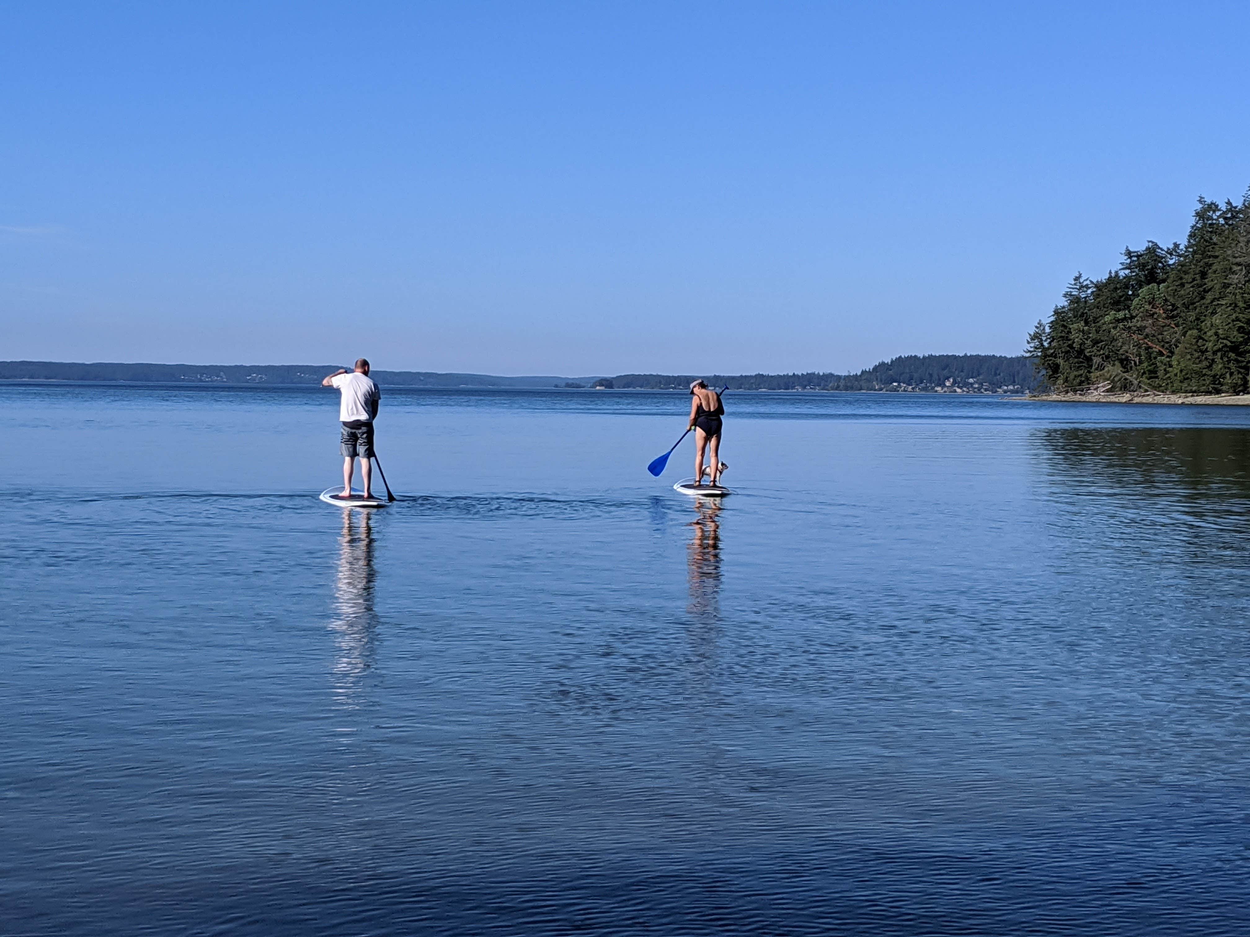 Camper submitted image from Penrose Point State Park Campground - 4