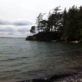 Review photo of Camano Island State Park Campground by Dene H., August 1, 2020