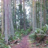 Review photo of Camano Island State Park Campground by Dene H., August 1, 2020