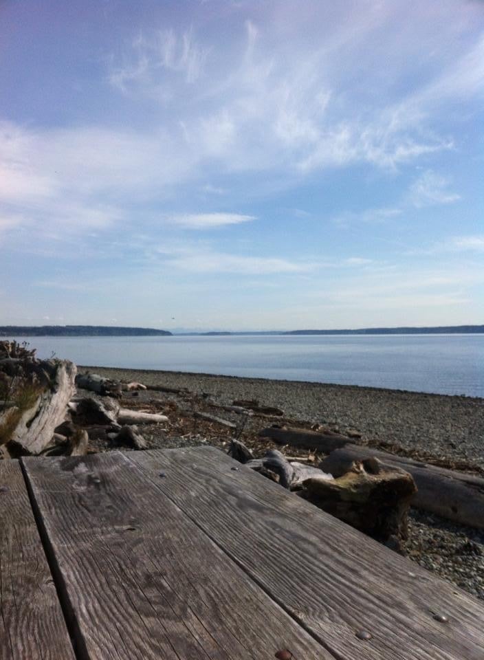 Camper submitted image from Camano Island State Park Campground - 1