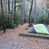 Review photo of Cataloochee Campground — Great Smoky Mountains National Park by Paul B., April 11, 2018