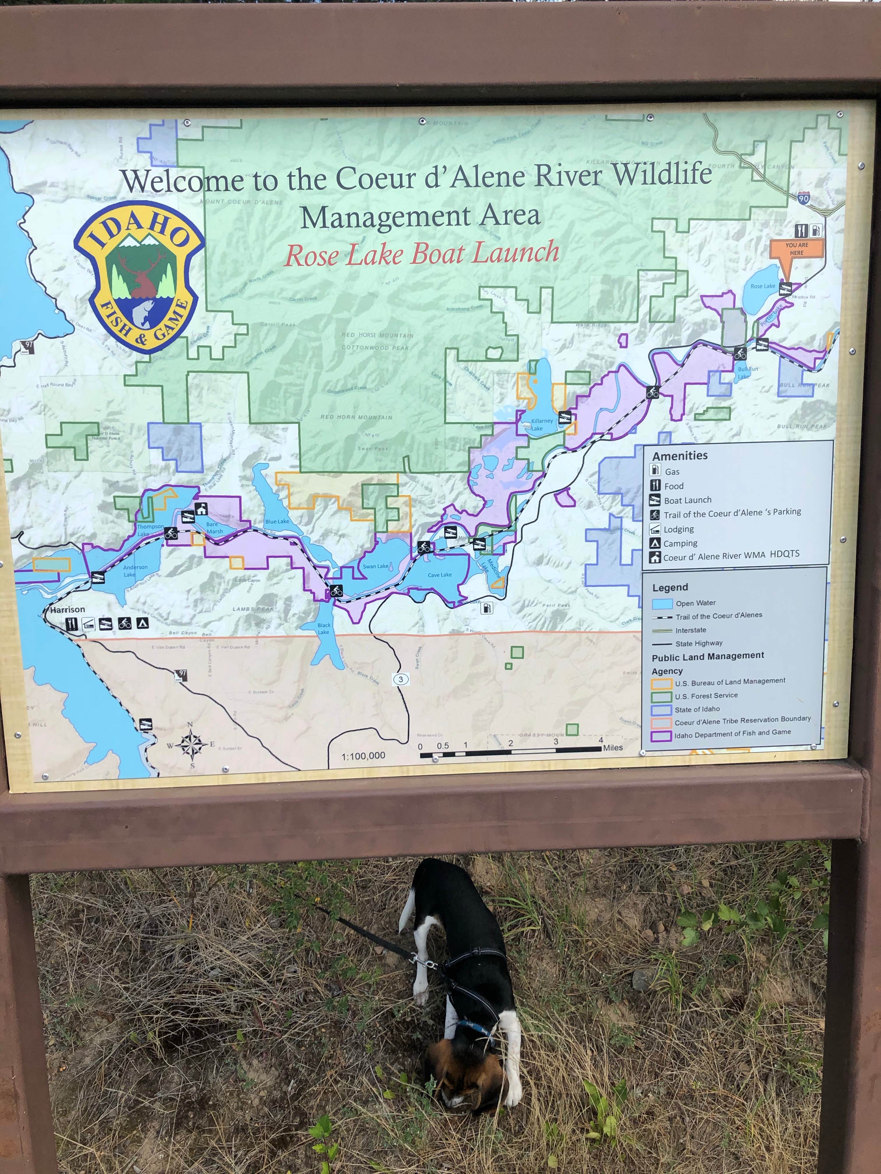 Camper-submitted photo at Rose Lake near Potlatch, ID