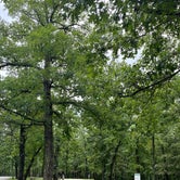 Review photo of Graham Cave State Park Campground by Aaron A., August 1, 2020