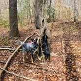 Review photo of Bandy Creek Campground — Big South Fork National River and Recreation Area by Shelly S., April 12, 2018