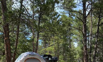 Camping near Rampart Reservoir Dispersed: Mount Herman Road Dispersed Camping, Monument, Colorado