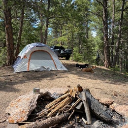 Mount Herman Road Dispersed Camping