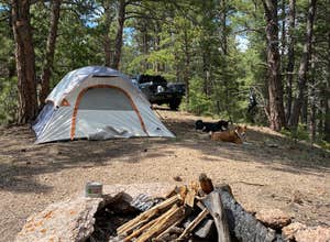 Mount Herman Road Dispersed Camping