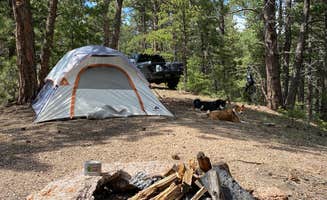 TreVon K.'s photo of a dispersed camping area at Mount Herman Road Dispersed Camping near Sedalia, CO