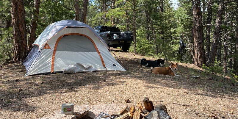 Camper submitted image from Mount Herman Road Dispersed Camping