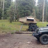 Review photo of Angel Creek Campground by Fred B., August 1, 2020