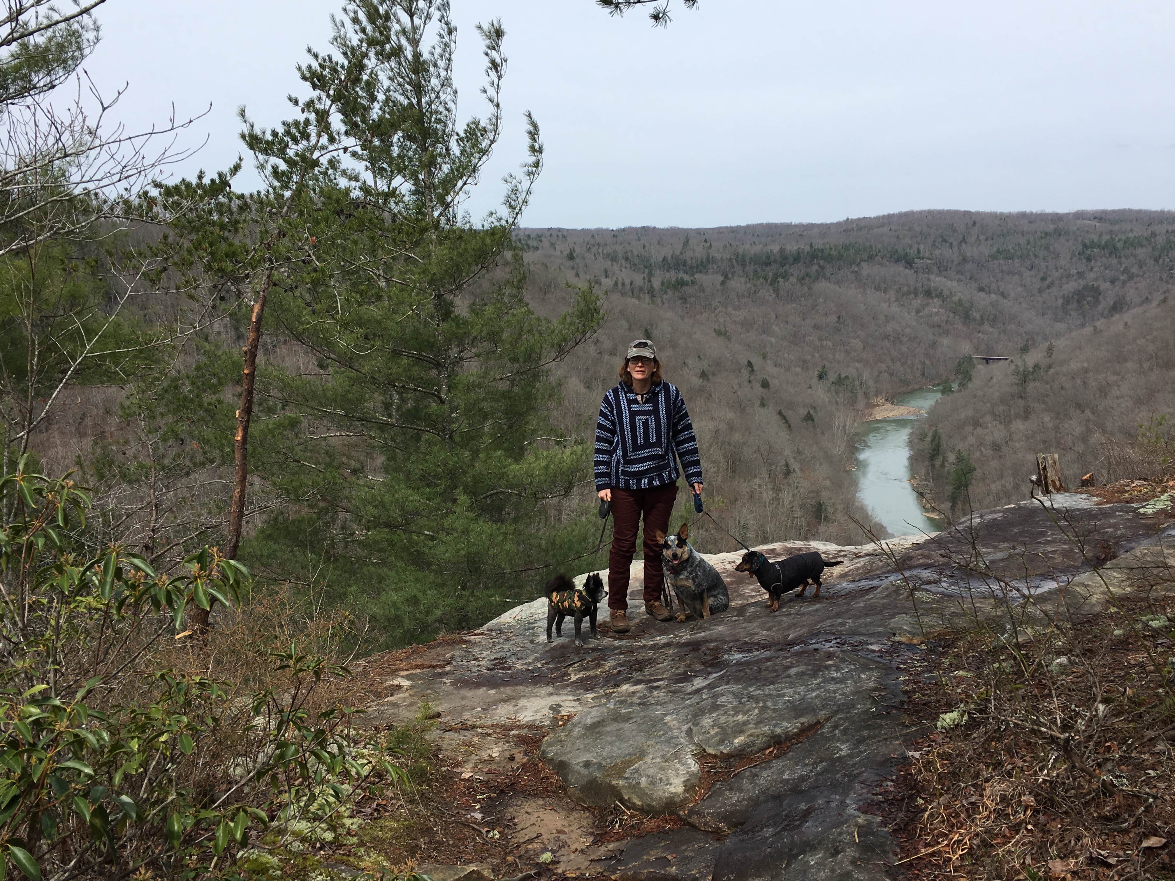 Across from the East Overlook